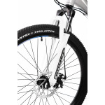 Horský bicykel ROMET RAMBLER R6.2 L Strieborno-modrá